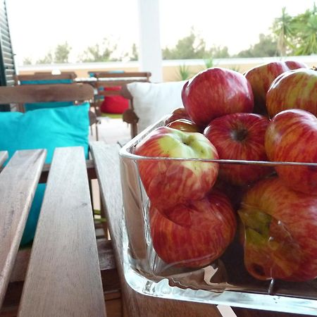 Casal Das Oliveiras Setúbal Esterno foto