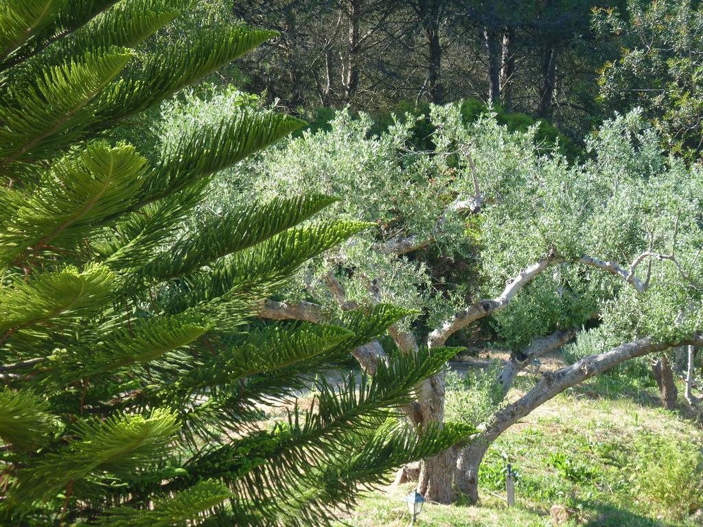 Casal Das Oliveiras Setúbal Esterno foto