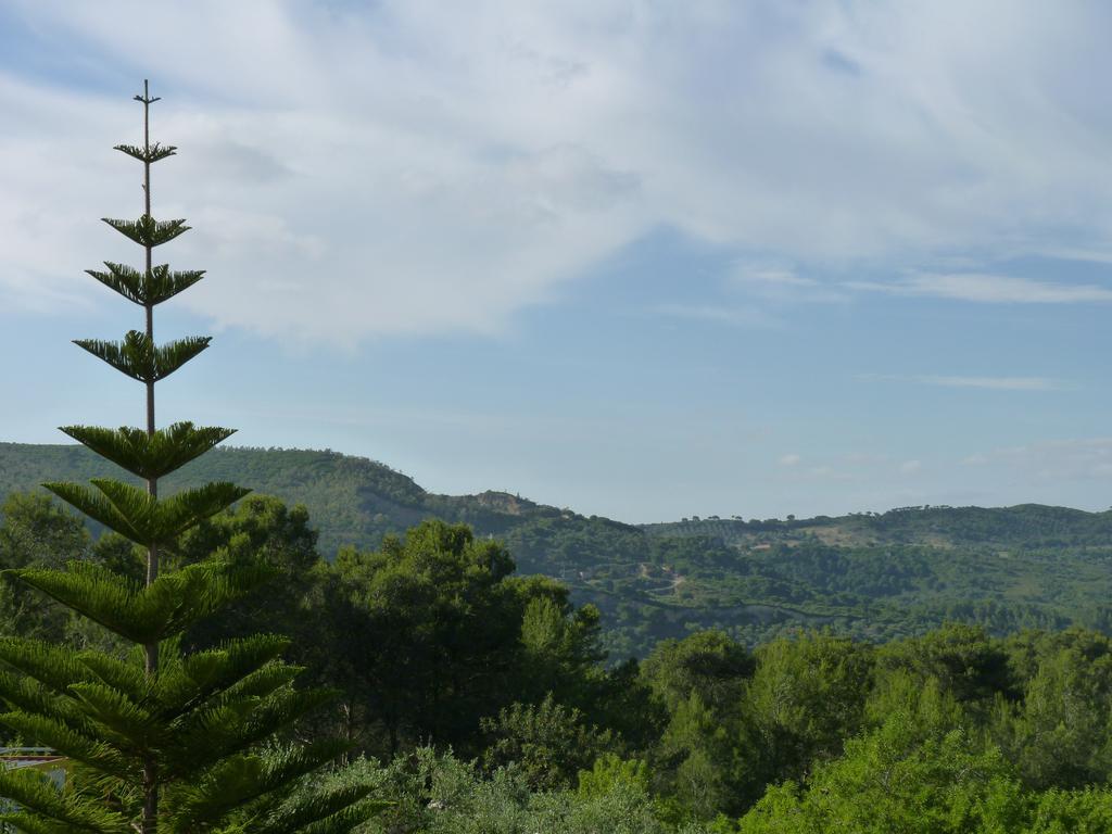 Casal Das Oliveiras Setúbal Esterno foto