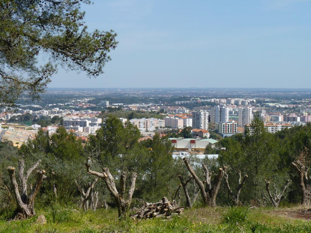 Casal Das Oliveiras Setúbal Esterno foto